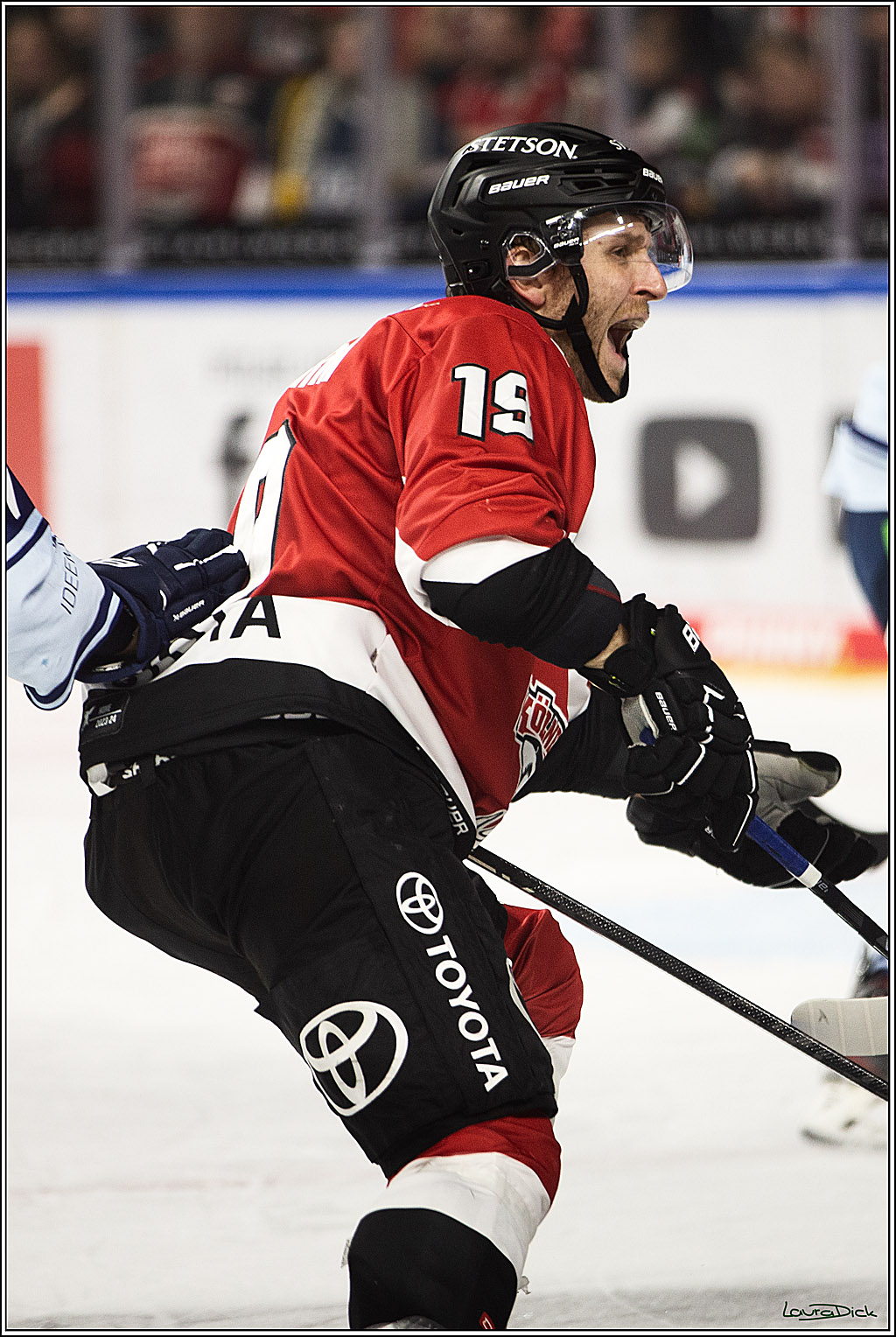 PENNY DEL; Koelner Haie- Straubing Tigers; Koeln, 15.12.2023